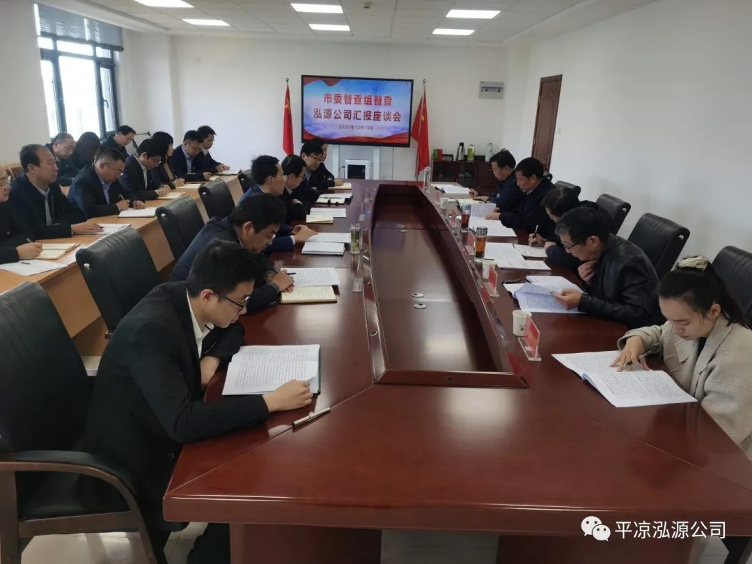 市委辦公室、市政府國資委督查泓源公司工作(圖4)